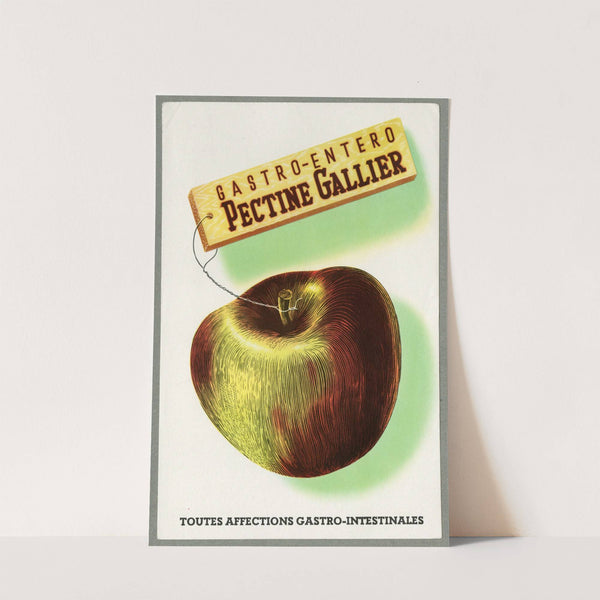 Pectine Gallier (1910-1950) by Laboratoire R. Gallier