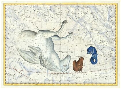 Pegasus, Equleus, Delphinus (1801)