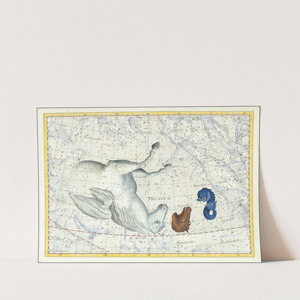 Pegasus, Equleus, Delphinus (1801) by Johann Elert Bode