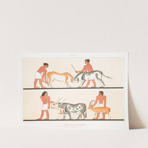 Peinture; scènes de la vie rurale (hypogées de Béni-Haçen - XIIe. dynastie) by Émile Prisse d'Avennes