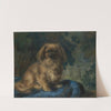 Pekingese by François-Charles Cachoud