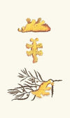 Pelagic Scyllaea