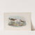 Pelinda Bonapartei. Bonaparte’s Sandpiper. (1862-1873) by John Gould
