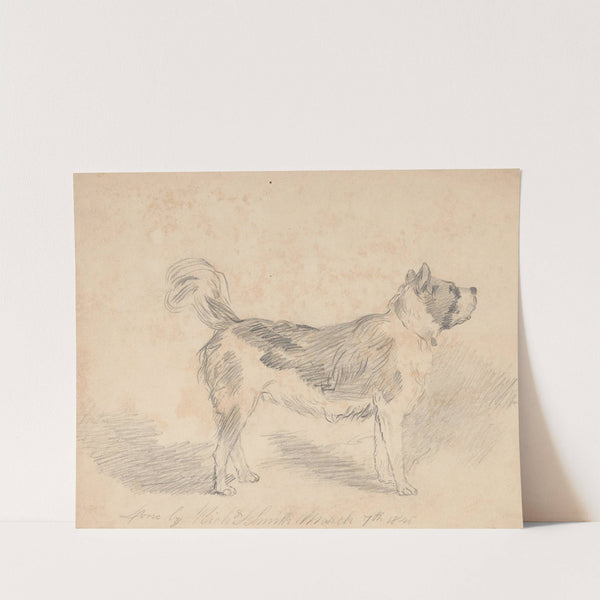 Pencil exercise, no. 3 - standing dog by Richard Sanger Smith