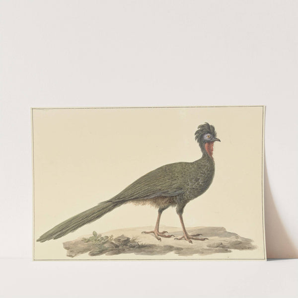 Penelope, op de grond by Pieter Pietersz. Barbiers