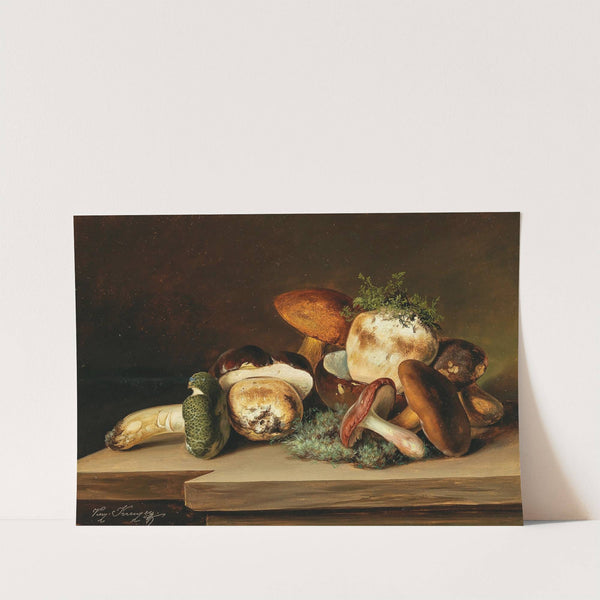 Penny buns and green russula by Vinzenz Kreuzer