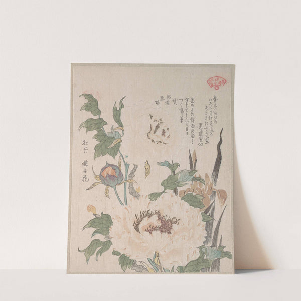 Peonies and Iris by Kubo Shunman