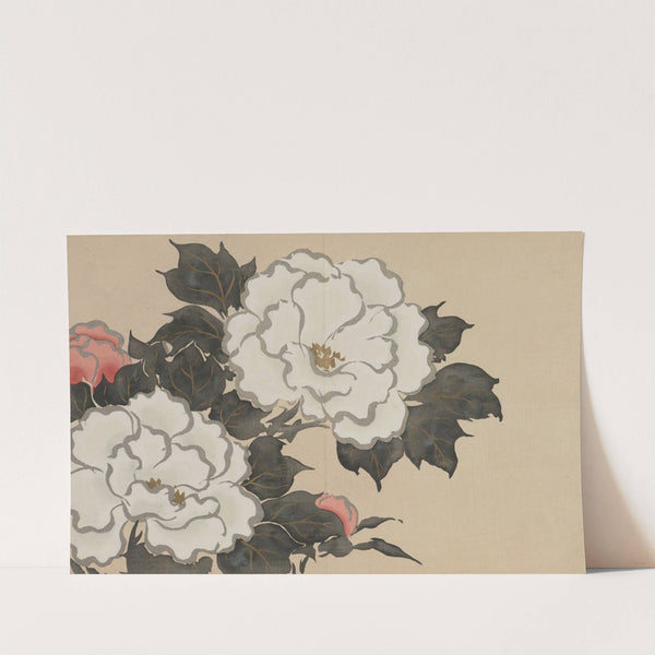 Peonies (Fukamigusa) (1909-1910) by Kamisaka Sekka