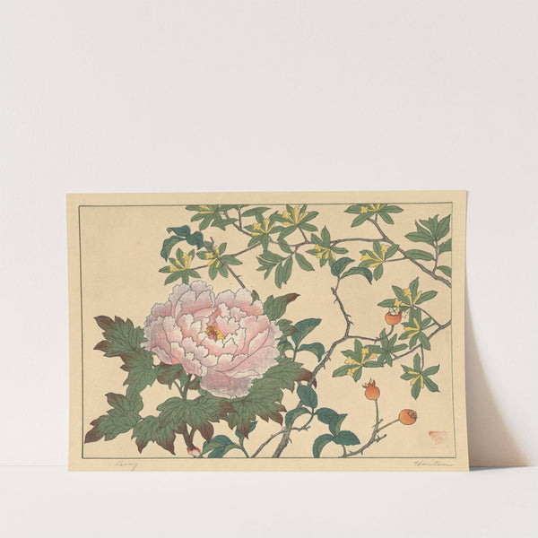 Peony by Sakai Hōitsu