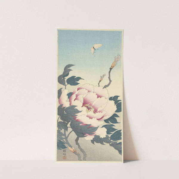 Peony with butterfly (1925 - 1936) by Ohara Koson