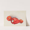 Pepper and Tomatoes (circa 1925-1928) by Charles Demuth