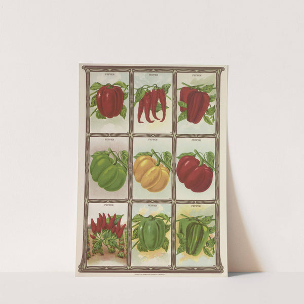 Pepper (1921) by Genesee Valley Lithograph Co.