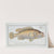 Perca maculata, The dropped Perch. (1785-1797) by Marcus Elieser Bloch
