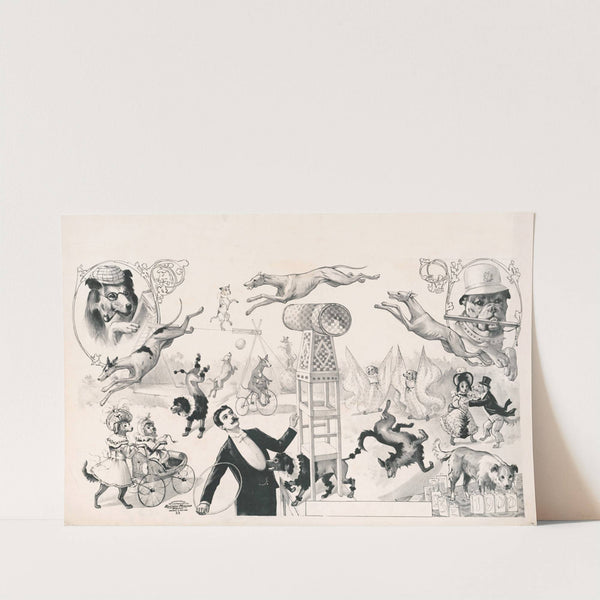 Performing dogs (1900) by Russell, Morgan & Co.