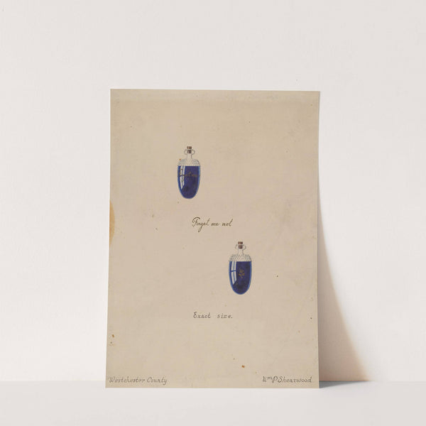 Perfume Bottle by William P. Shearwood