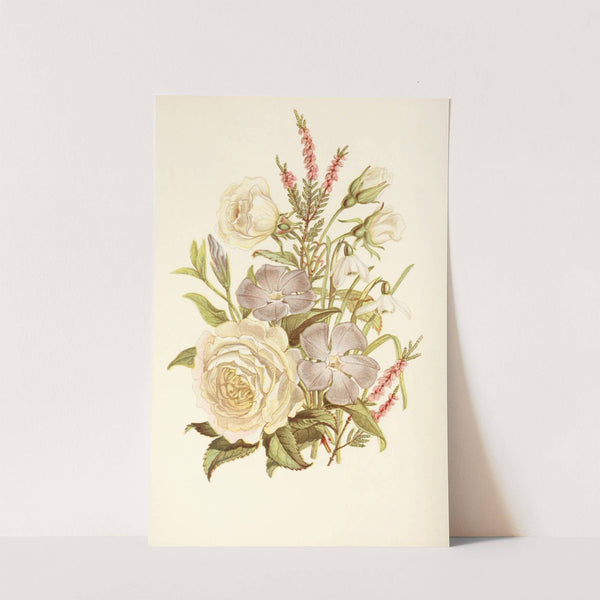 Periwinkle, Snowdrop, White Rose, Common Heath by Robert Tyas