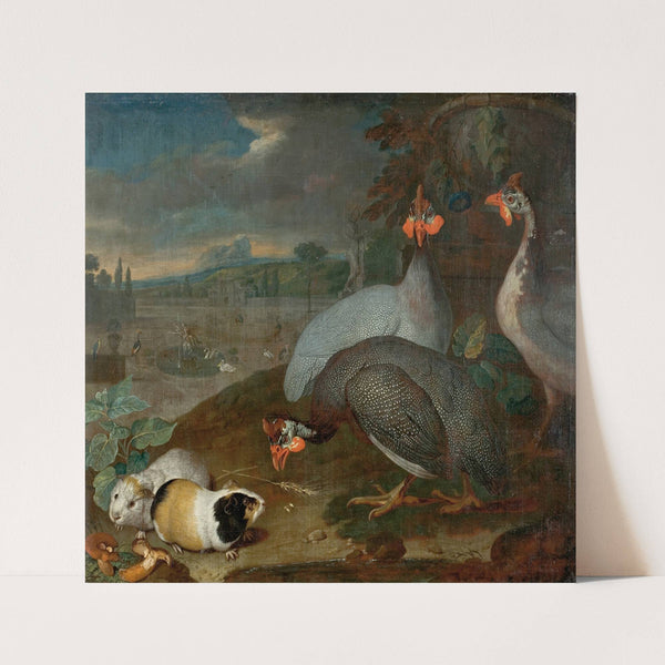 Perlhühner Mit Meerschweinchen (1725) by Philipp Ferdinand de Hamilton