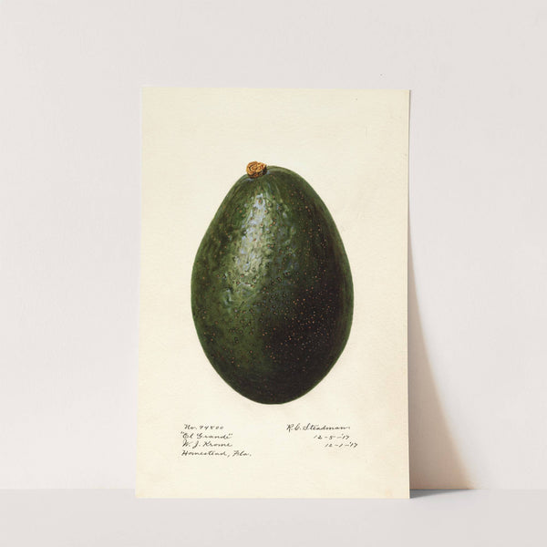 Persea: El Grande by Royal Charles Steadman