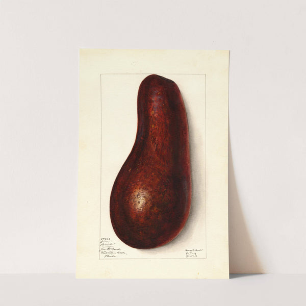 Persea: Family by Mary Daisy Arnold