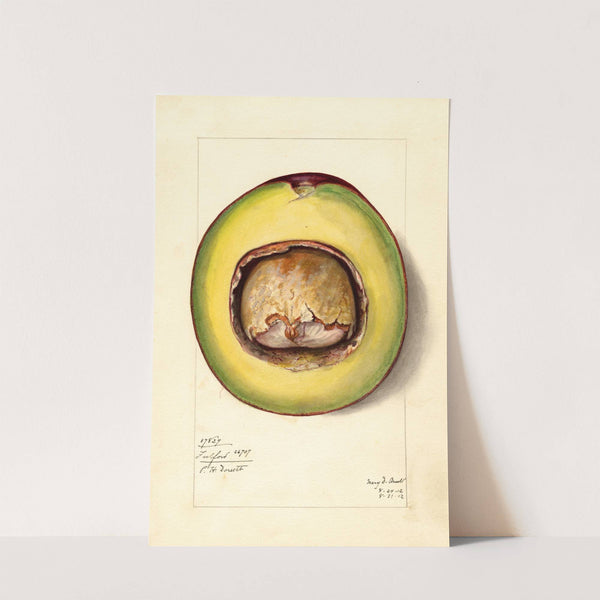 Persea: Fulford by Mary Daisy Arnold