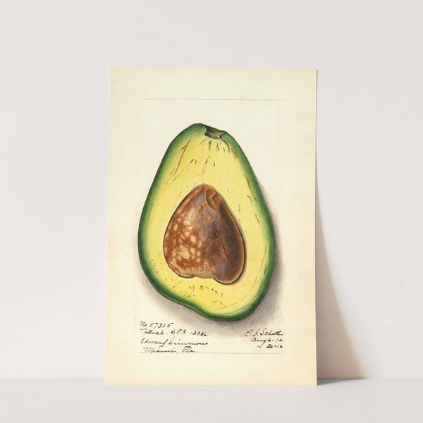 Persea: Pollock by Ellen Isham Schutt