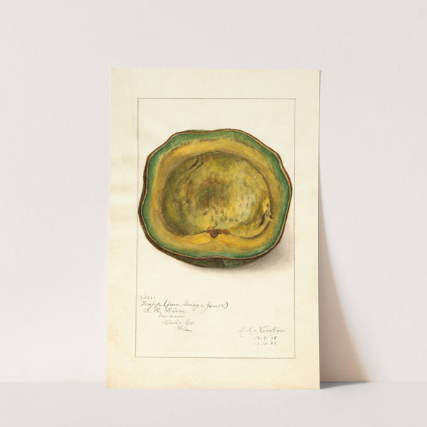 Persea: Trapp by Amanda Almira Newton