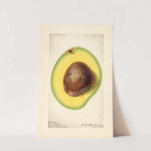 Persea: Waldin by Royal Charles Steadman