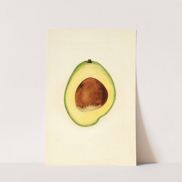 Persea: Waldin by James Marion Shull