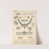 Persian - Adomments - Jewels by Paul Louis de Giafferri