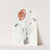 Persian Poppy by Sydenham Edwards