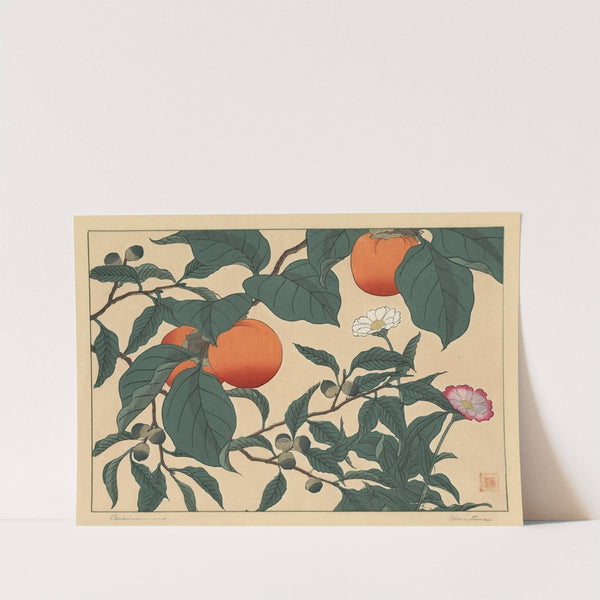 Persimmon by Sakai Hōitsu