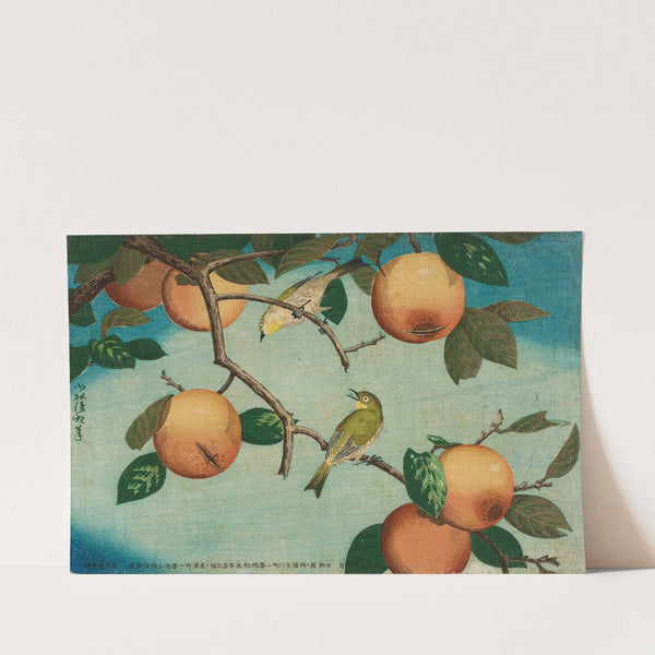 Persimmons and White-Eyes by Kobayashi Kiyochika