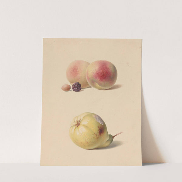 Perzik, braam en hazelnoot en een peer by Hendrik Reekers