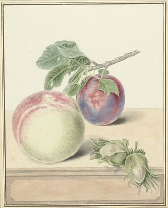 Perzik, een pruim met blad en een paar noten, after Michiel van Huysum — size preview