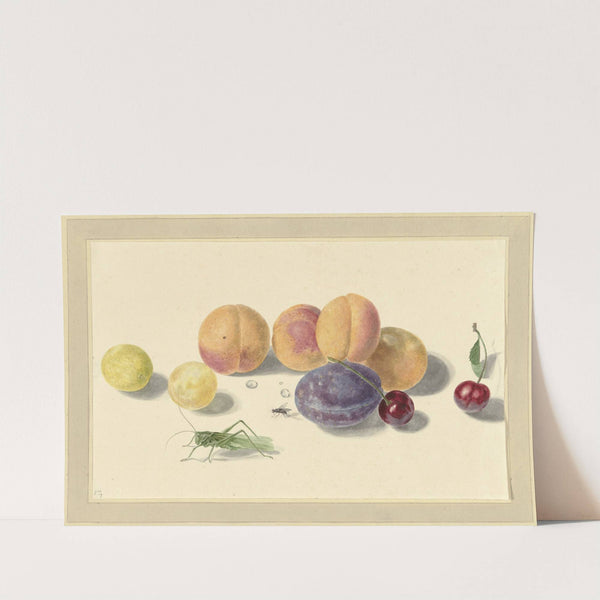 Perziken, pruimen, kersen en twee insecten, after Michiel van Huysum by Elisabeth Geertruida van de Kasteele