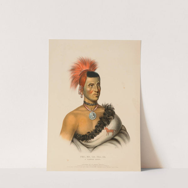 Pes-Ke-Le-Cha-Co, A Pawnee Chief (1841) by Charles Bird King