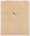 Pessima (1898)