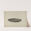 Pewter Plate by Geoffrey Holt