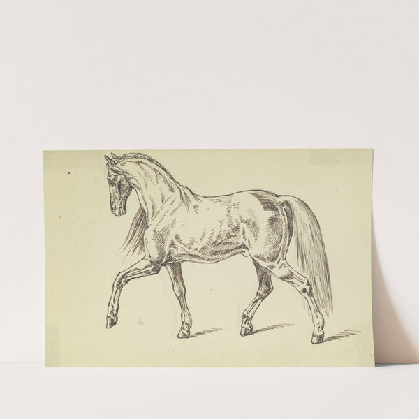 Pferd im Schritt nach links by Ferdinand Fellner