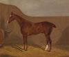 Pferdeportrait (1883)