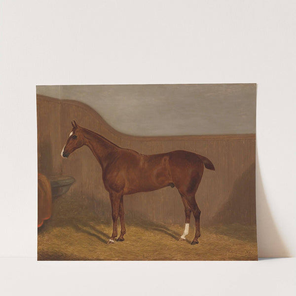 Pferdeportrait (1883) by F Clifton