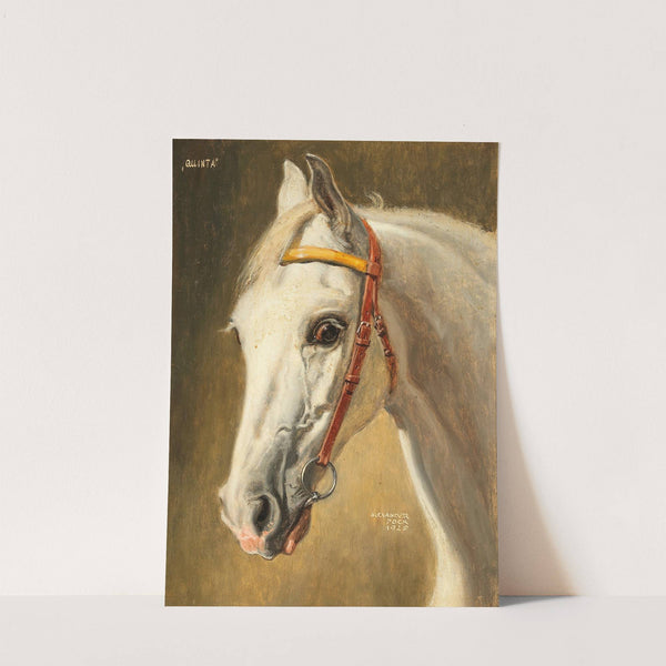 Pferdeportrait Quinta (1926) by Alexander Pock