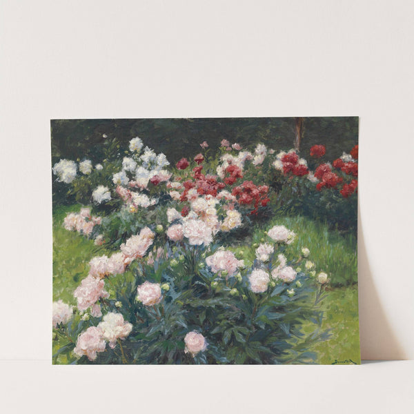 Pfingstrosen by Wilhelm Bernatzik