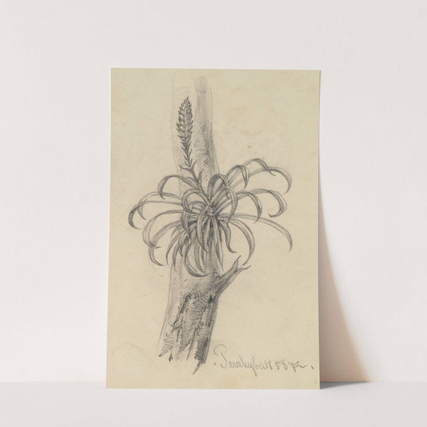 Pflanzenstudie am Ast II (1858) by Ferdinand Keller