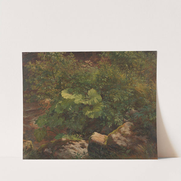 Pflanzenstudie by Gustav Friedrich Papperitz