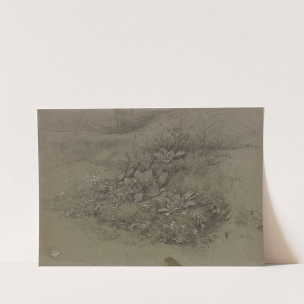 Pflanzenstudie in Wiesenlandschaft by Otto Scholderer