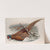 Phasianus colchicus. Common Pheasant. (1862-1873) by John Gould