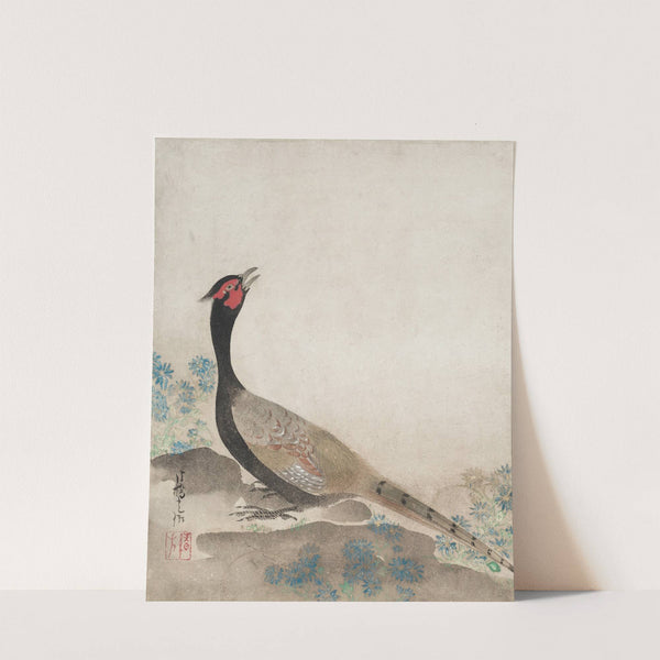 Pheasant (1658-1716) by Ogata Kōrin