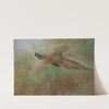 Pheasant In Flight by Archibald Thorburn