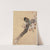 Pheasant on cherry blossom branch (1887 - 1945) by Ohara Koson